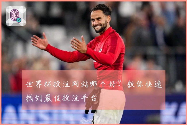 世界杯投注网站哪个好？教你快速找到最佳投注平台