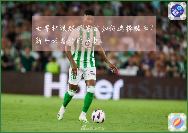 世界杯滚球买球该如何选择赔率？新手必看对比分析