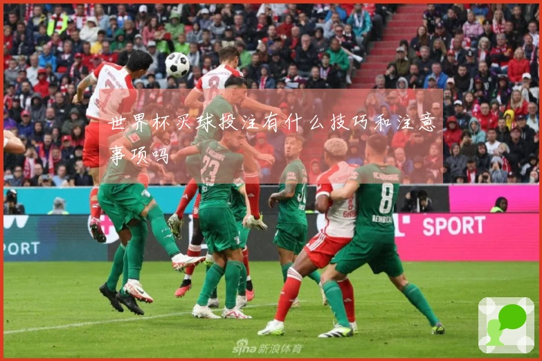 世界杯买球投注有什么技巧和注意事项吗