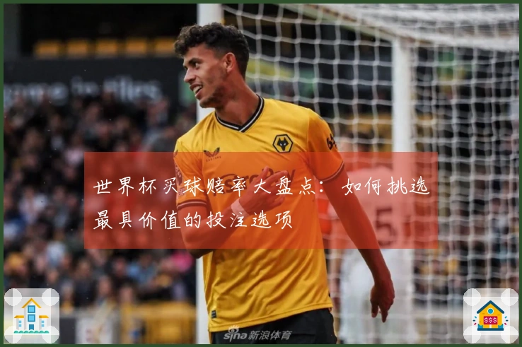 世界杯买球赔率大盘点：如何挑选最具价值的投注选项