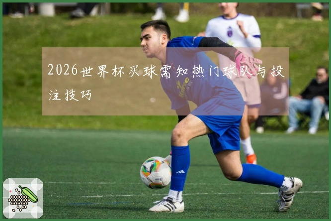 2026世界杯买球需知热门球队与投注技巧