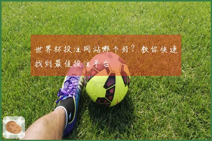 世界杯投注网站哪个好？教你快速找到最佳投注平台