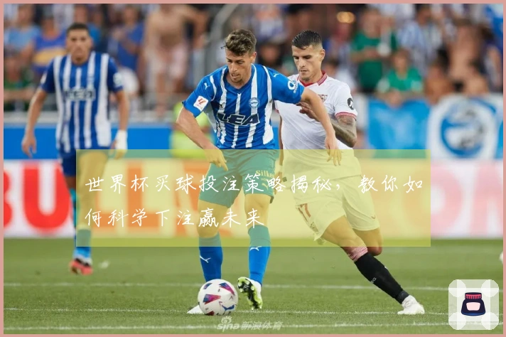 世界杯买球投注策略揭秘，教你如何科学下注赢未来