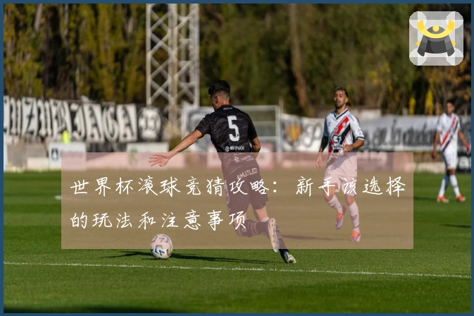 世界杯滚球竞猜攻略：新手该选择的玩法和注意事项