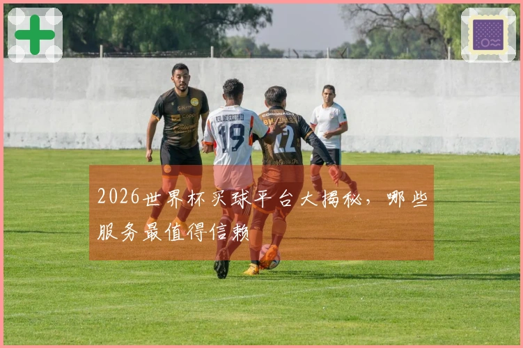 2026世界杯买球平台大揭秘，哪些服务最值得信赖
