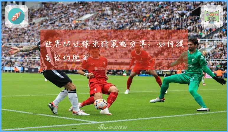 世界杯让球竞猜策略分享，如何提高你的胜率
